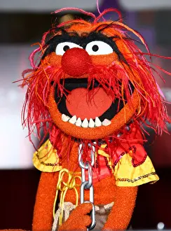 2011 Prints: ANIMAL THE MUPPETS. WORLD PREMIERE HOLLYWOOD LOS ANGELES CALIFORNIA USA 12 November 2011