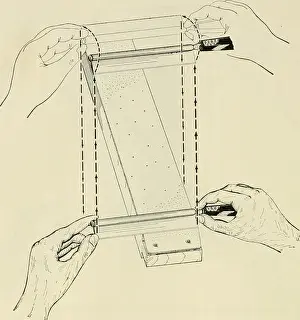 Animal tissue techniques. Histology -- Technique; Stains and staining (Microscopy); Histochemistry -- Technique