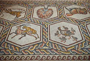Historic Art Prints: Animals and birds from the 3rd century Roman mosaic villa floor from Lod