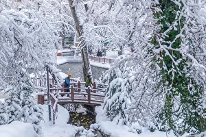 Swan Prints: Ankara, Turkey - December 26 2018: Kugulu Park is a popular place to enjoy the day