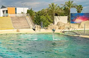 Flipper Prints: Antibes, France - 18.09.2024: Dolphin show at Marineland