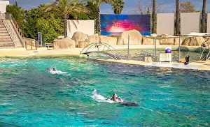 Flipper Prints: Antibes, France - 18.09.2024: Dolphin show at Marineland