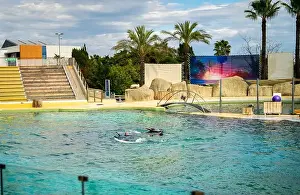 Flipper Prints: Antibes, France - 18.09.2024: Dolphin show at Marineland