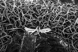 Antler Prints: Antler Arch in Jackson Hole Wyoming