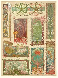 Jugendstil Prints: Anton Seder - The Animal in Decorative Arts - Intricate Art Nouveau Designs - 1896 - Psychedelic Starfish Sea Creatures