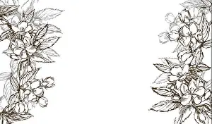 Apple illustration. Hand drawn patterns with textured apple illustration