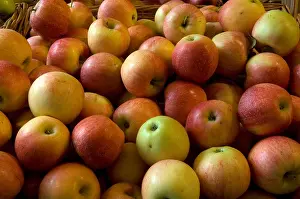 Grown Prints: Apples