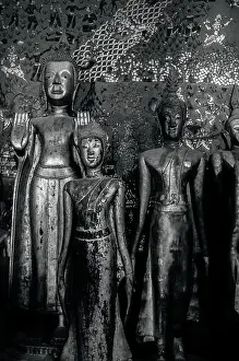 Red Wall Prints: APR 5 Luang Prabang, Laos - Antique old wooden Buddha statues at Wat Xieng thong museum