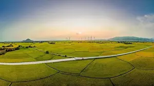 Wind Farm Prints: April 8, 2023: rice fields in Phan Rang city are in the harvest season next to wind power poles