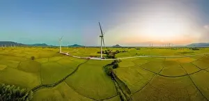 Wind Farm Prints: April 8, 2023: rice fields in Phan Rang city are in the harvest season next to wind power poles