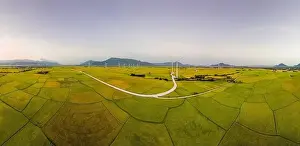 Wind Farm Prints: April 8, 2023: rice fields in Phan Rang city are in the harvest season next to wind power poles