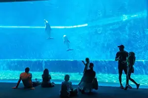 Family Friendly Prints: Aquarium of Genoa, Liguria, Italy, Europe