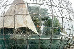 Liguria Prints: Aquarium of Genova. Large oceanarium near the port: aquariums with a recreated ecosystem