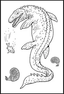Distinctive Prints: Aquatic prehistoric reptile - Mosasaurus. Aquatic dinosaur. Coloring page