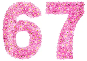 Numeral Prints: Arabic numeral 67, sixty seven