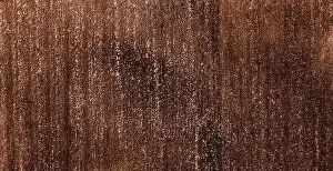 Agricultural Land Prints: Arable land aerial view. Panoramic photo of rows soil before planting