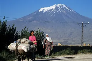 Turk Prints: ararat mountain