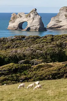 Day Sky Prints: Archway islands along the coast near Wharariki Beach