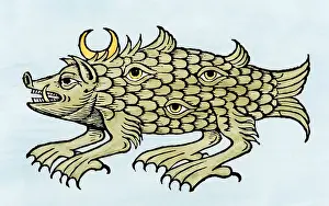 Occult Prints: Argus sea monster in the Oceano Germanica