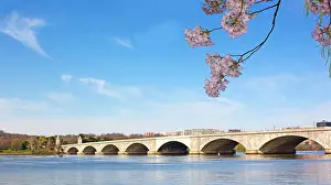 Potomac River Prints: Arlington Memorial Bridge across Potomac River during cherry blossom season
