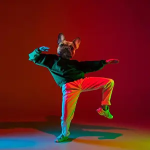 Zine Prints: Art collage. Young man, hip hop dancer headed of dog's head dancing isolated over dark red background in neon light