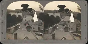 Modernity Prints: Art inspired by Group of 107 Stereograph Views of Animals