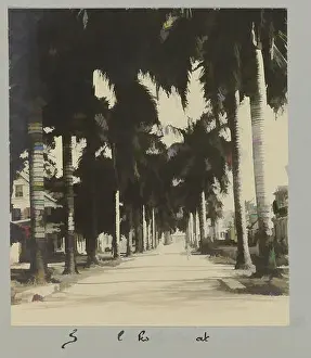1906 Prints: Art inspired by Sommeldijksche straat