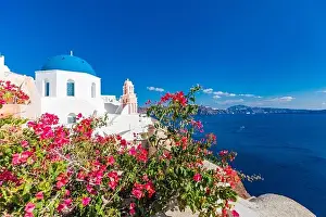 Artistic travel landscape, Santorini, Greece. Famous view of traditional white architecture landscape with flowers in foreground. Summer vacation