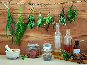Remedy Prints: Assorted herb bundles hanging parsley, sage, rosemary, dill, sprin