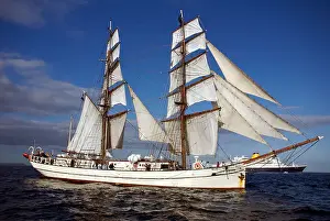 Astrid, a square rigged brigantine ship built in 1918, Funchal Tall Ships Race 2008, Falmouth, Cornwall, UK