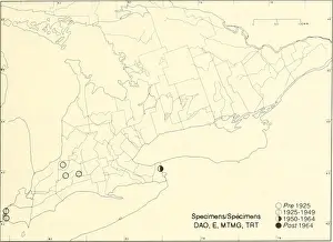 Booksubjectbotany Prints: Atlas of the rare vascular plants of Ontario
