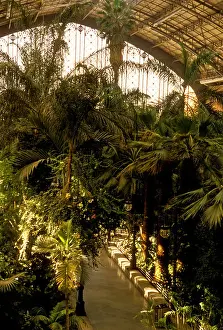 Concourse Prints: atrium, tropical garden, waiting area