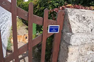 Beware Prints: Attention au chien - French beware of the dog sign on gate with dog visible through gate