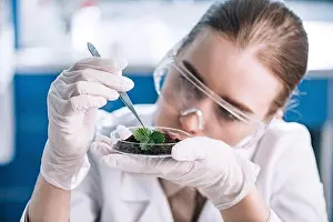 Professional Occupation Prints: attractive biochemist in goggles holding tweezers near green plant