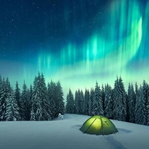 Images Dated 7th December 2017: Aurora borealis. Northern lights in winter forest. Sky with polar lights and stars