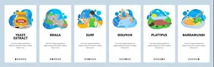Koala Prints: Australia website and mobile app onboarding screens vector template