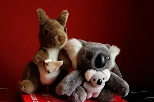 Stillness Prints: australian toy kangeroo and toy koala bear sitting close together on a red board