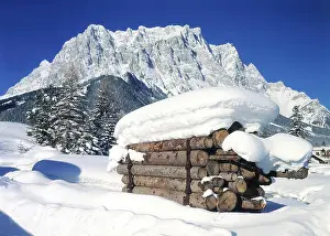 Federal Prints: Austria, Tyrol, Zugspitze, empty moss