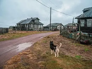 Shack Prints: Authentic village on the shore of the Kandalaksha Bay of the White sea