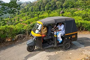 Kerala Prints: Autorickshaw rides through Pothamedu tea plantation, Munnar, Kerala, India