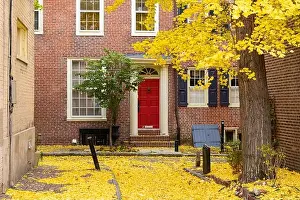 Philly Prints: Autumn alleyway in a traditional neighborhood in Philadelphia, Pennsylvania, USA