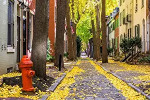 Autumn alleyway in a traditional neighborhood in Philadelphia, Pennsylvania, USA