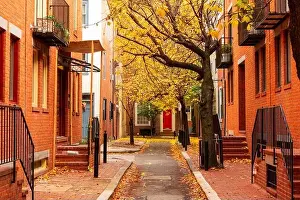 Autumn alleyway in a traditional neighborhood in Philadelphia, Pennsylvania, USA