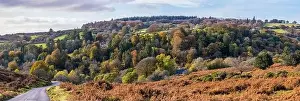 Autumn Colors over Dartmeet Car Park in Dartmoor Park from a drone, Devon, England, Europe