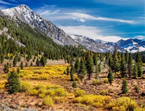 Vast Prints: autumn colors in the nicholia creek valley below the italian peaks section of the beaverhead mountains near dell