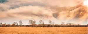 Autumn landscape and dramatic sky. Trees and meadow field under cloudy sky