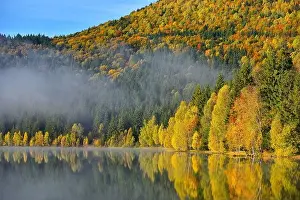Autumn landscape in the mountains with trees reflecting in the water at St. Ana's lake, Romania