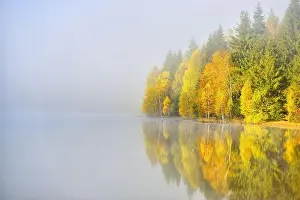 Autumn landscape in the mountains with trees reflecting in the water at St. Ana's lake, Romania
