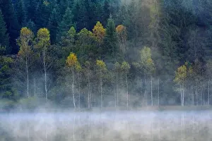Autumn landscape in the mountains with trees reflecting in the water at St. Ana's lake, Romania