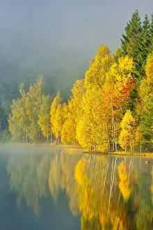 Autumn landscape in the mountains with trees reflecting in the water at St. Ana's lake, Romania